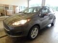 Magnetic - Fiesta SE Hatchback Photo No. 4