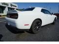 White Knuckle - Challenger R/T Photo No. 11