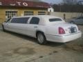 Vibrant White - Town Car Executive Limousine Photo No. 4