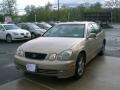 Burnished Gold Metallic - GS 300 Photo No. 3