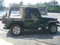 2001 Forest Green Jeep Wrangler SE 4x4  photo #8