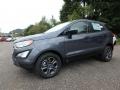 Smoke - EcoSport S 4WD Photo No. 7