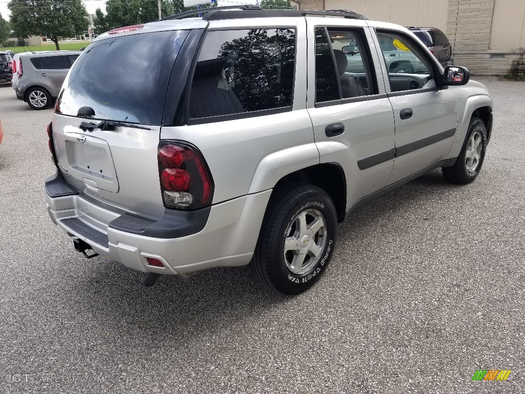 2005 TrailBlazer LS 4x4 - Silverstone Metallic / Light Gray photo #16