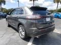 2018 Magnetic Ford Edge Titanium  photo #7