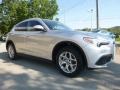 Silverstone Gray Metallic - Stelvio AWD Photo No. 12