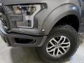 2018 Ford F150 SVT Raptor SuperCrew 4x4 Wheel and Tire Photo