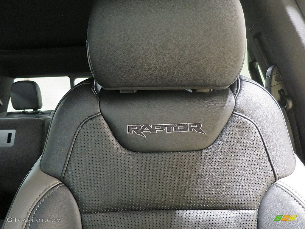 2018 Ford F150 SVT Raptor SuperCrew 4x4 Marks and Logos Photo #129809969