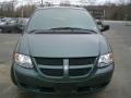 2004 Onyx Green Pearl Dodge Grand Caravan SXT  photo #1