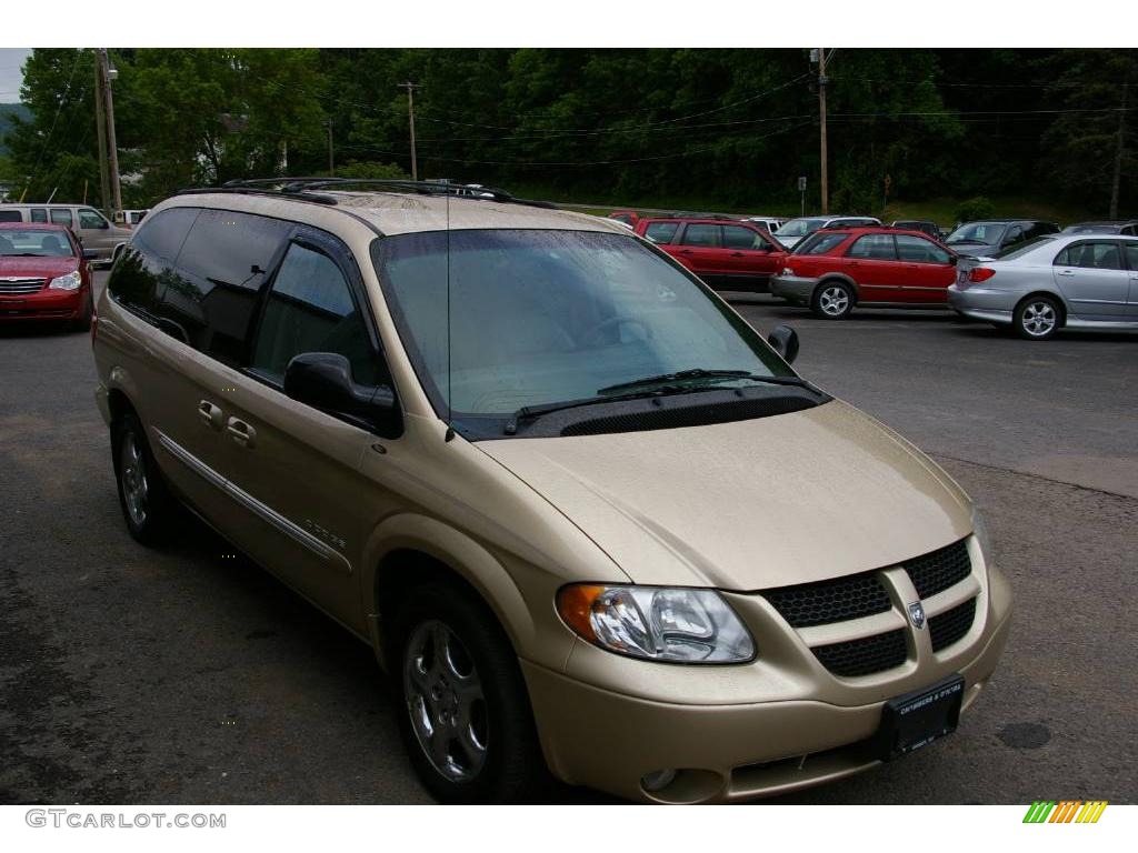 2001 Grand Caravan ES - Champagne Pearl / Taupe photo #18