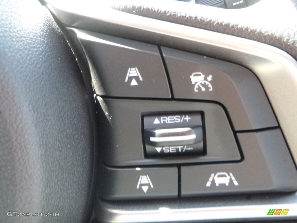2019 Subaru Forester 2.5i Gray Steering Wheel Photo #129830506