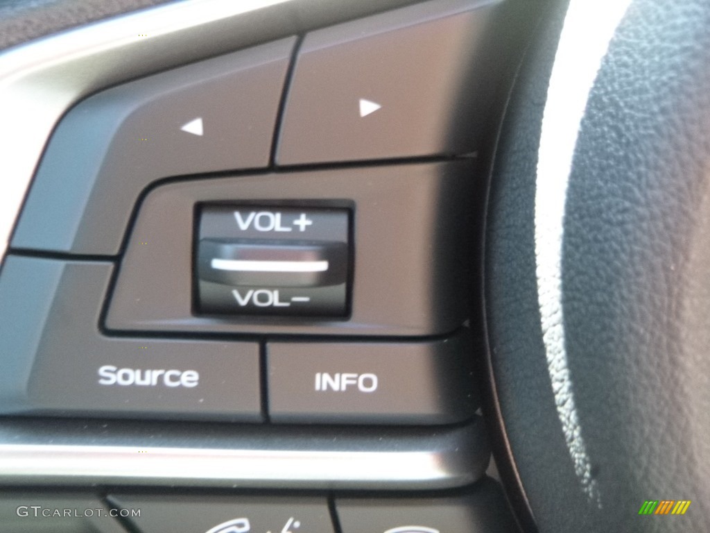 2019 Subaru Forester 2.5i Gray Steering Wheel Photo #129830524