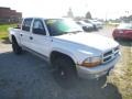 2004 Bright White Dodge Dakota SLT Quad Cab 4x4  photo #7