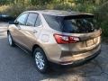 Sandy Ridge Metallic - Equinox LT AWD Photo No. 4