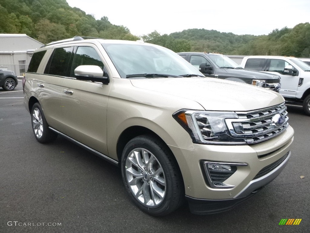 White Gold 2018 Ford Expedition Limited 4x4 Exterior Photo #129860560