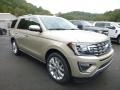 2018 White Gold Ford Expedition Limited 4x4  photo #3