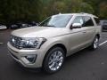 White Gold 2018 Ford Expedition Limited 4x4 Exterior