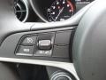 2019 Alfa Romeo Giulia Black/Tan Interior Steering Wheel Photo