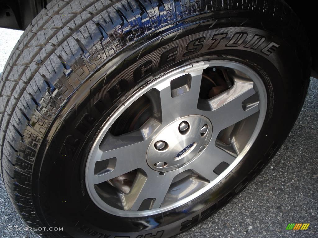 2005 F150 FX4 SuperCrew 4x4 - Dark Shadow Grey Metallic / Medium Flint/Dark Flint Grey photo #10