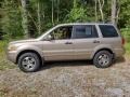 Sandstone Metallic - Pilot EX-L 4WD Photo No. 5