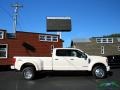 2019 White Platinum Metallic Tri-Coat Ford F450 Super Duty Platinum Crew Cab 4x4  photo #6