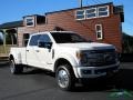 2019 White Platinum Metallic Tri-Coat Ford F450 Super Duty Platinum Crew Cab 4x4  photo #7