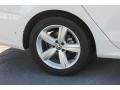 Candy White - Passat 2.5L SE Photo No. 10