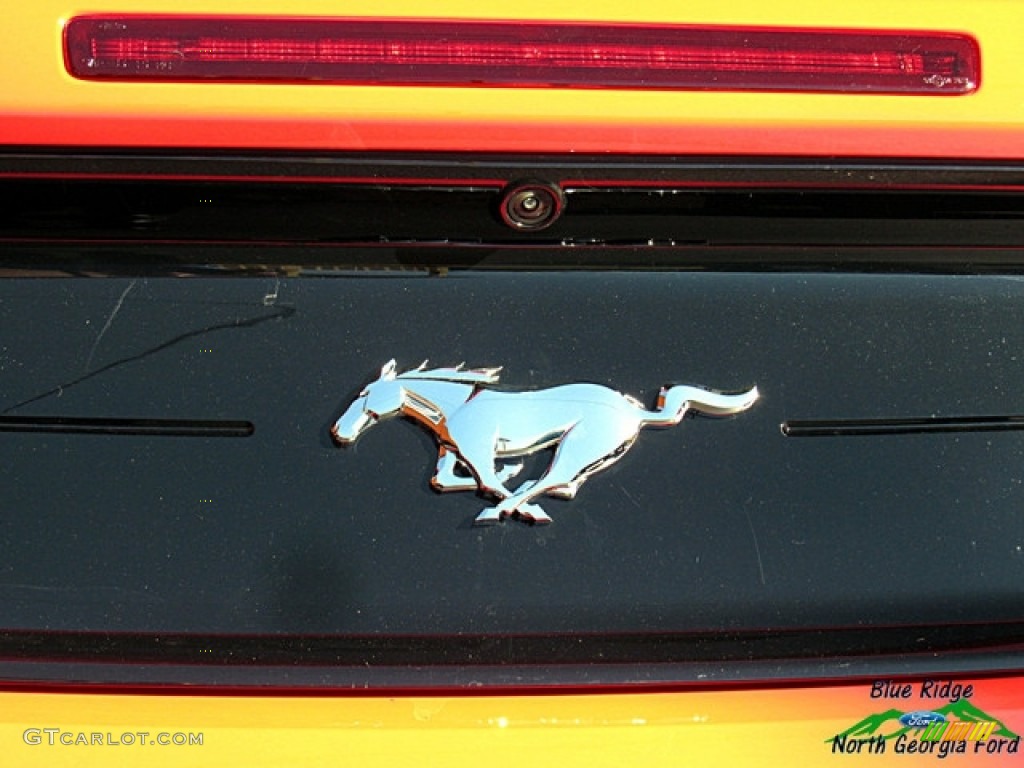 2019 Mustang EcoBoost Convertible - Race Red / Ebony photo #32