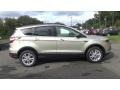 2018 White Gold Ford Escape SE 4WD  photo #8