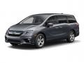 2019 Modern Steel Metallic Honda Odyssey EX  photo #19