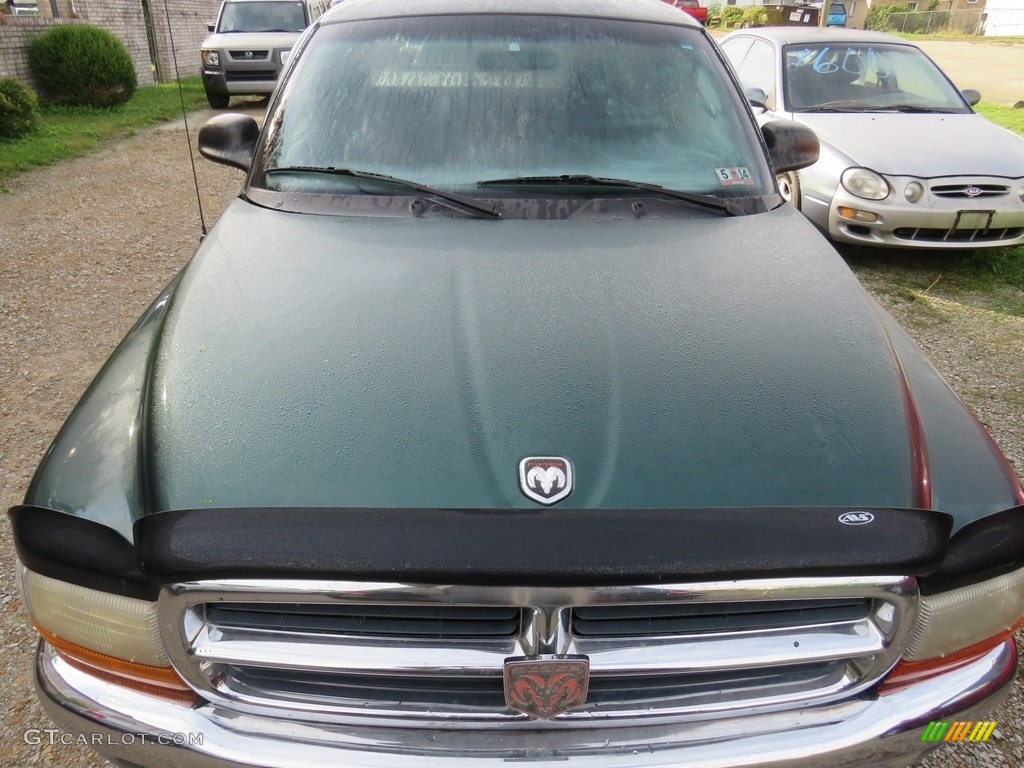 2000 Dakota SLT Extended Cab - Forest Green Pearl / Agate photo #4