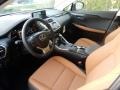 Nebula Gray Pearl - NX 300 AWD Photo No. 2