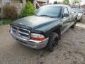 Forest Green Pearl - Dakota SLT Extended Cab Photo No. 7