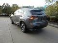 Nebula Gray Pearl - NX 300 AWD Photo No. 5