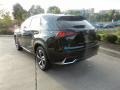 Caviar - NX 300h Hybrid AWD Photo No. 5