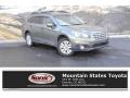 Wilderness Green Metallic 2017 Subaru Outback 2.5i Premium