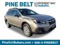 Tungsten Metallic - Outback 2.5i Premium Photo No. 1