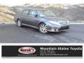 Magnetic Gray Metallic - Avalon Limited Photo No. 1