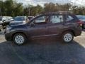 Dark Gray Metallic - Forester 2.5i Photo No. 3