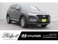 Rainforest 2019 Hyundai Santa Fe SE