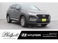 2019 Rainforest Hyundai Santa Fe SE  photo #1