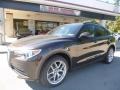 Basalto Brown Metallic 2019 Alfa Romeo Stelvio Ti Sport AWD Exterior