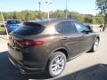 Basalto Brown Metallic - Stelvio Ti Sport AWD Photo No. 6
