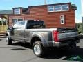 Magnetic Metallic - F450 Super Duty Platinum Crew Cab 4x4 Photo No. 3