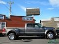Magnetic Metallic - F450 Super Duty Platinum Crew Cab 4x4 Photo No. 6