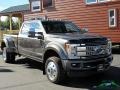 Magnetic Metallic - F450 Super Duty Platinum Crew Cab 4x4 Photo No. 7