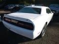 White Knuckle - Challenger GT AWD Photo No. 5