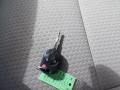 Magnetic - Escape SE 4WD Photo No. 17