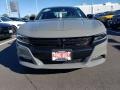 Destroyer Gray - Charger SXT AWD Photo No. 2