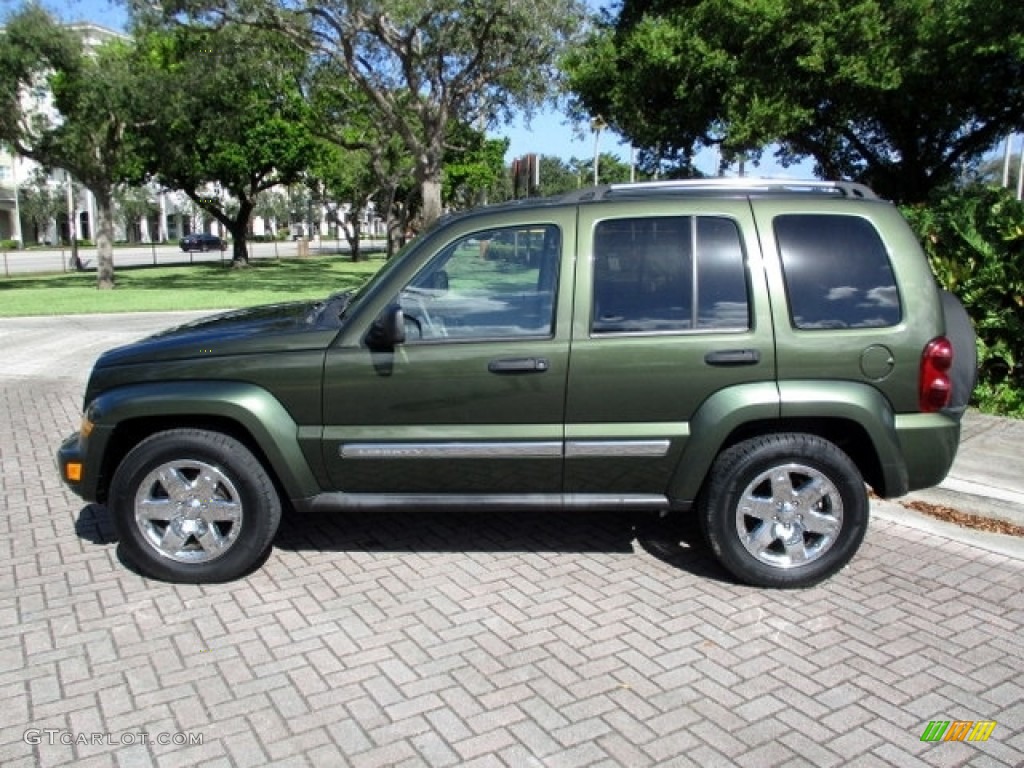 2006 Liberty Limited - Jeep Green Metallic / Dark Khaki/Light Graystone photo #3