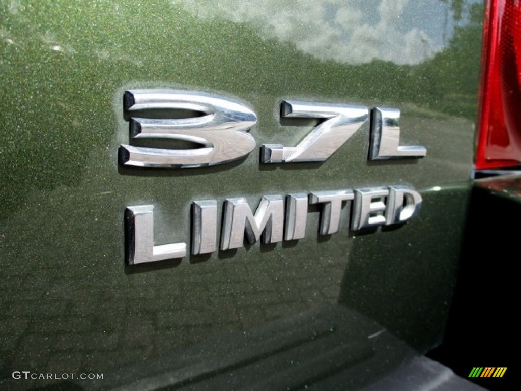 2006 Liberty Limited - Jeep Green Metallic / Dark Khaki/Light Graystone photo #19